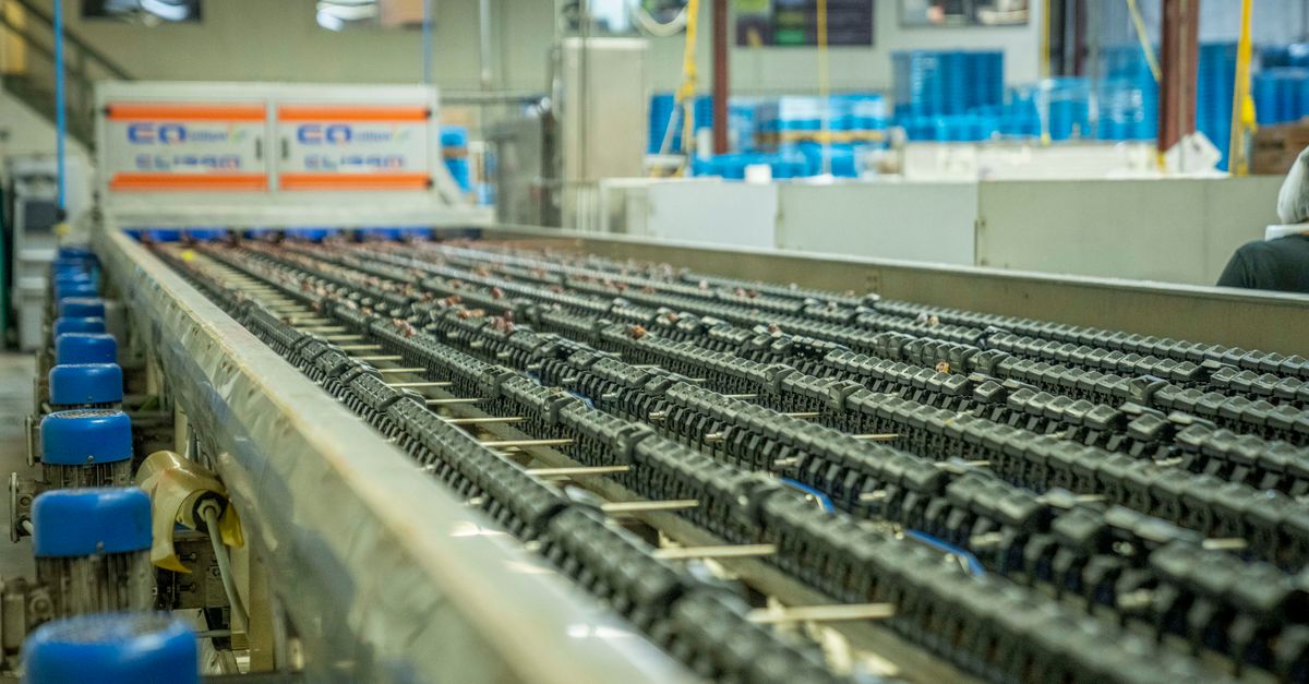 Dây chuyền sản xuất may mặc hoạt động hiệu quả nhờ máy móc được bảo dưỡng thường xuyên.
